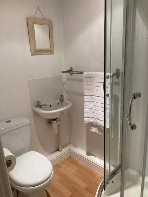 Studio Annexe With Separate Shower Room Broadhempston Dış mekan fotoğraf